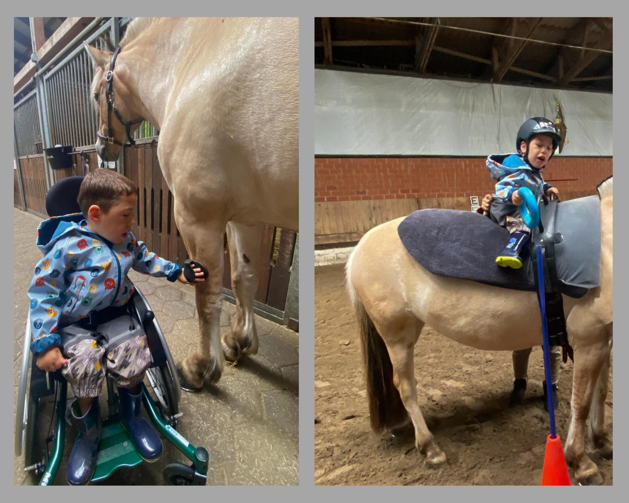 Reittherapie